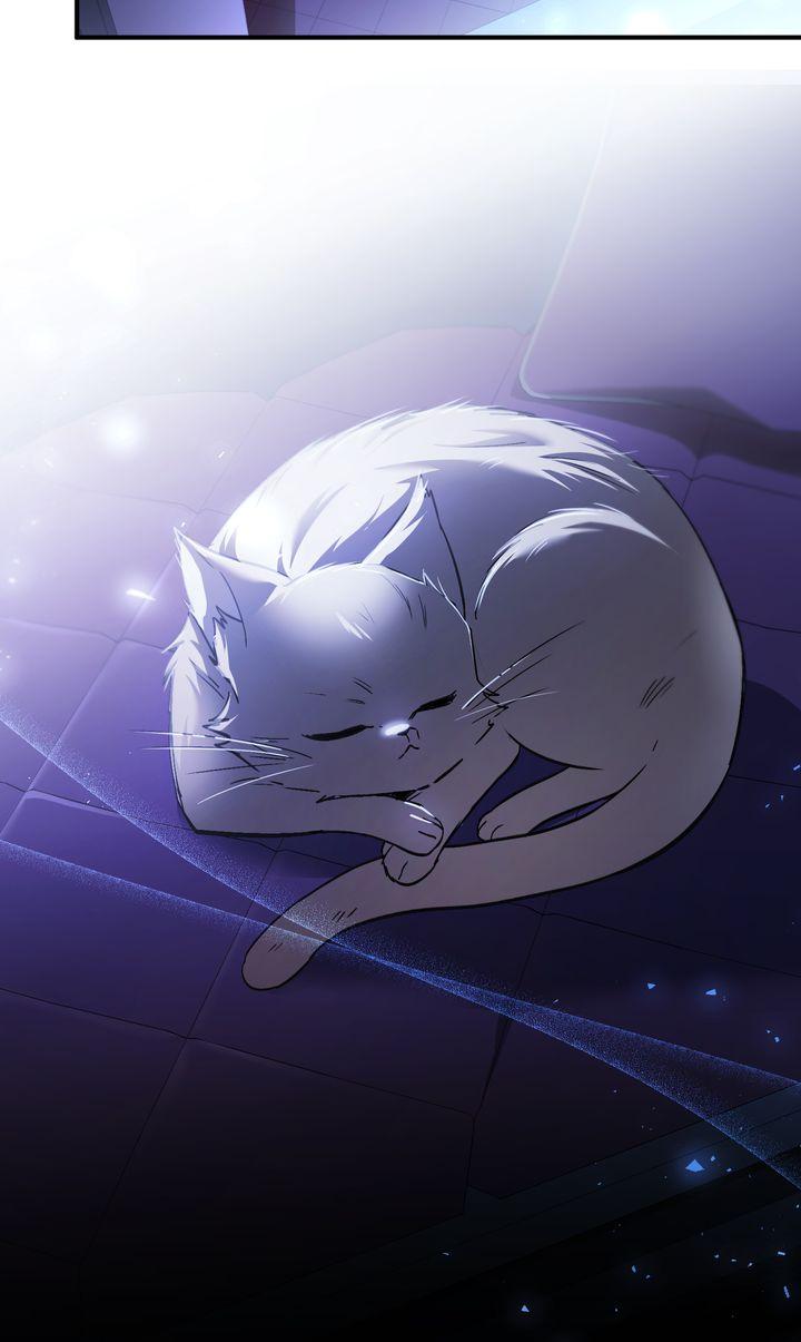 Shadowless Night - الفصل 69 - 35