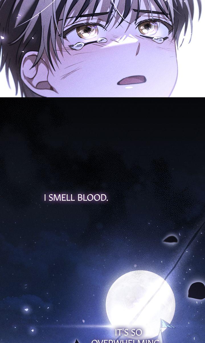 Shadowless Night - الفصل 69 - 44