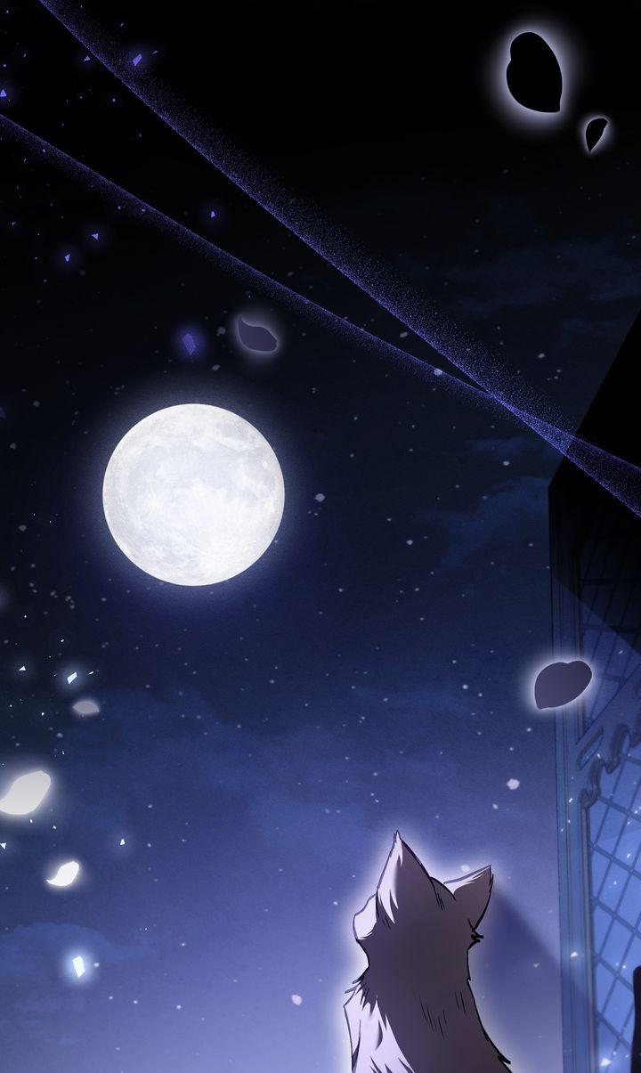 Shadowless Night - الفصل 69 - 46