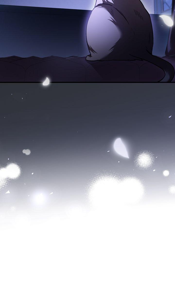 Shadowless Night - الفصل 69 - 47