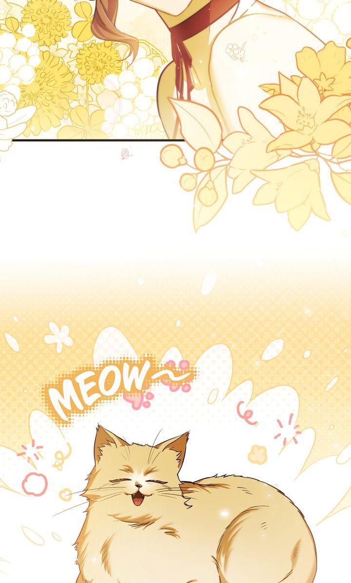 Shadowless Night Chapter 71 - Page 47