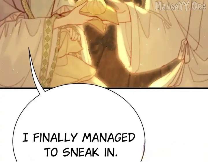 Shao Hua Long: Rebirth of the Evil Concubine’s Counterattack Chapter 24 - Page 233