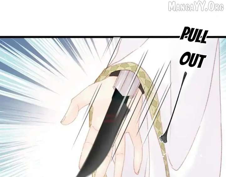 Shao Hua Long: Rebirth of the Evil Concubine’s Counterattack Chapter 25 - Page 227