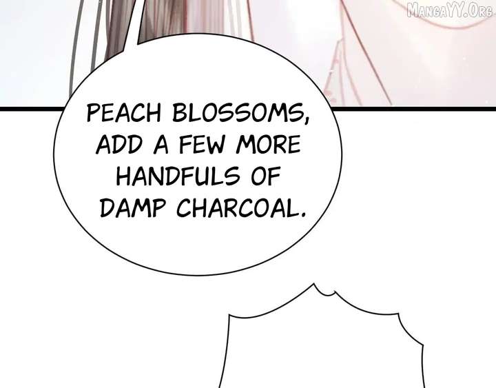 Shao Hua Long: Rebirth of the Evil Concubine’s Counterattack Chapter 28 - Page 233