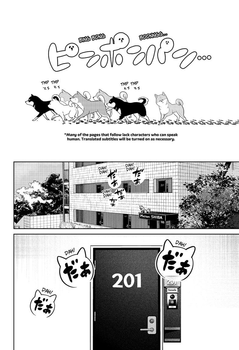 Shiba Inu Rooms - Chapter 32 - 4