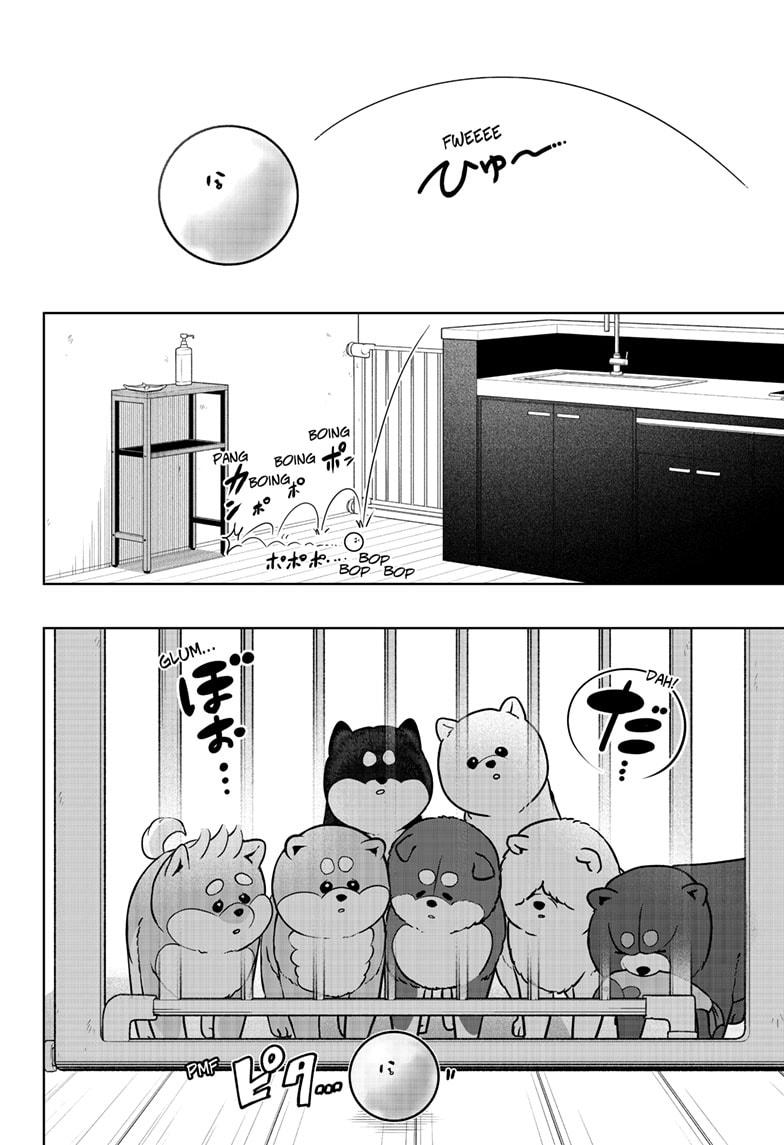 Shiba Inu Rooms - Chapter 32 - 6