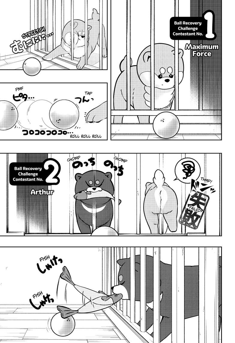 Shiba Inu Rooms - Chapter 32 - 7