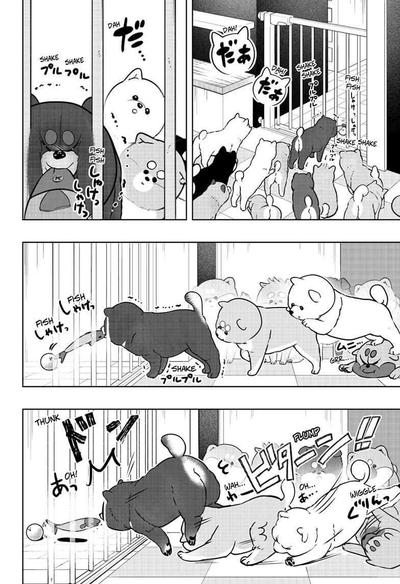 Shiba Inu Rooms - Chapter 32 - 8