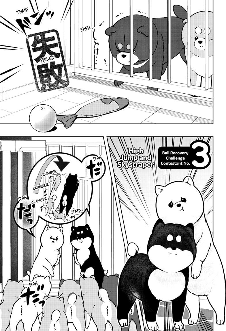 Shiba Inu Rooms - Chapter 32 - 9
