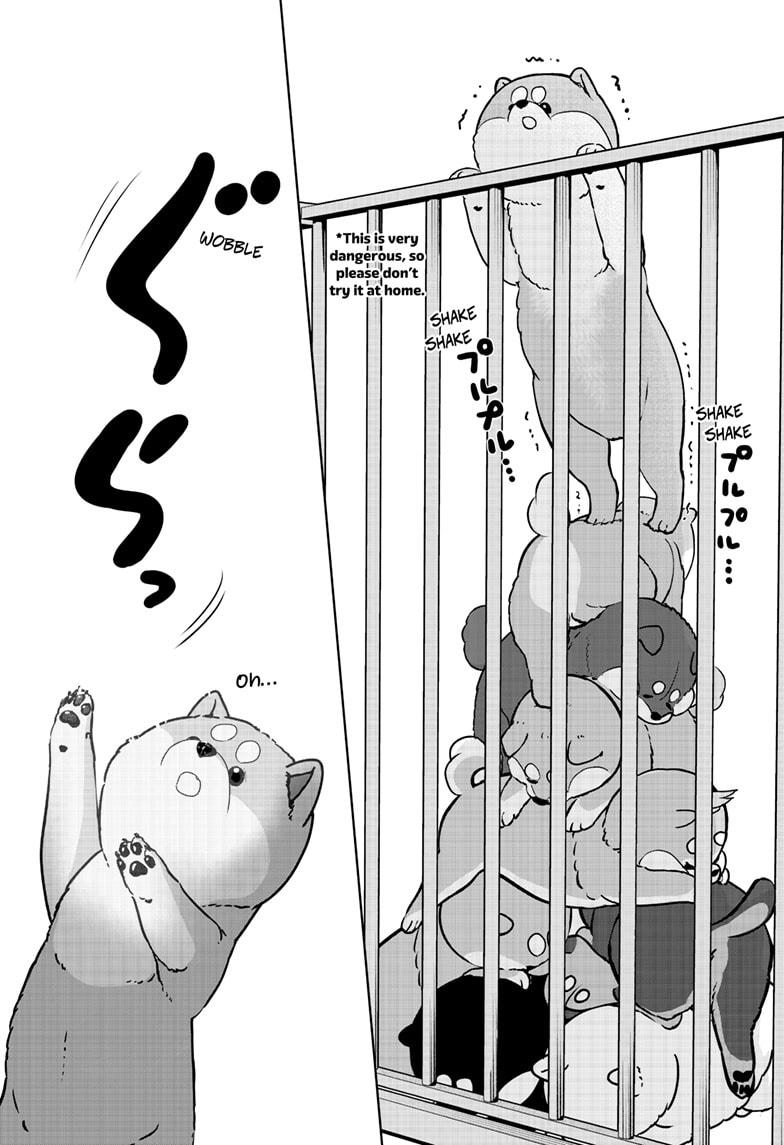 Shiba Inu Rooms - Chapter 32 - 10