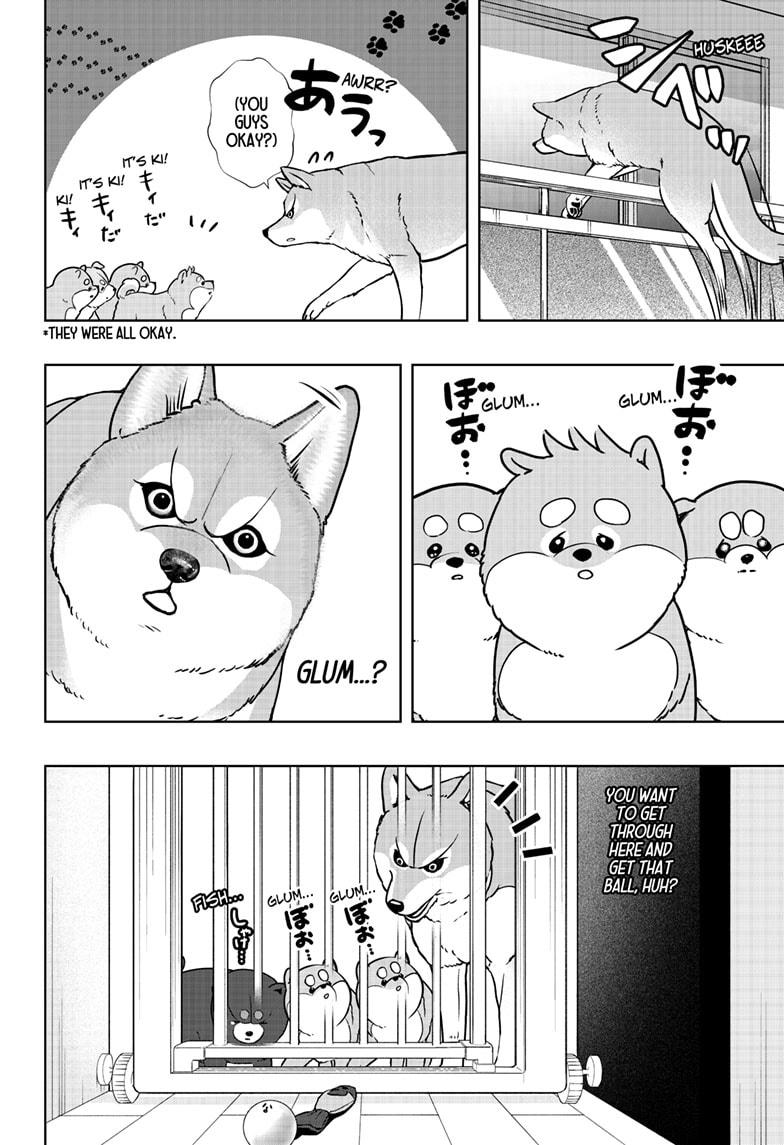 Shiba Inu Rooms - Chapter 32 - 12