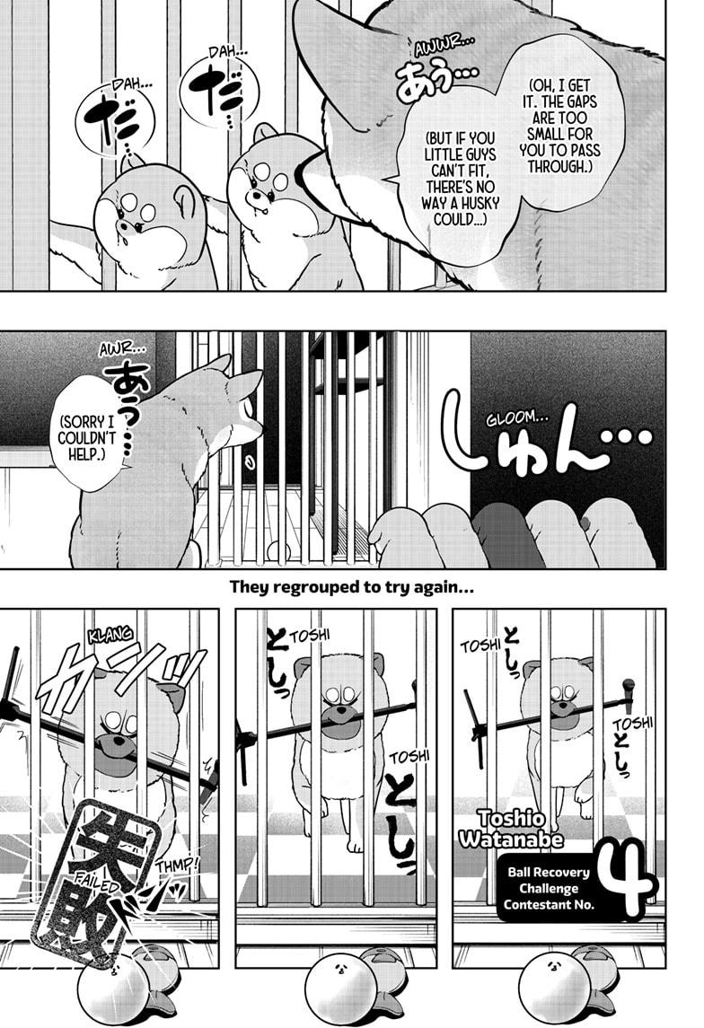 Shiba Inu Rooms - Chapter 32 - 13