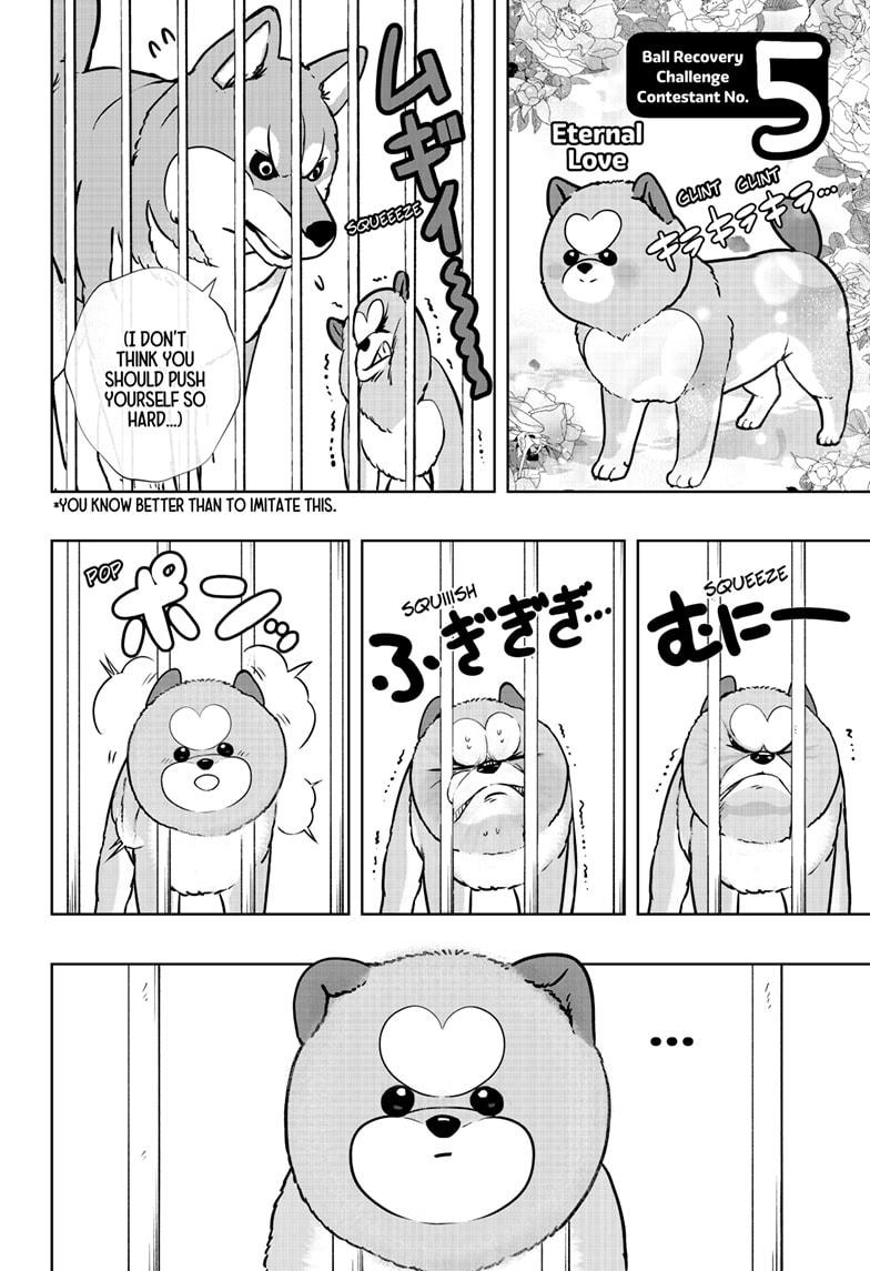 Shiba Inu Rooms - Chapter 32 - 14
