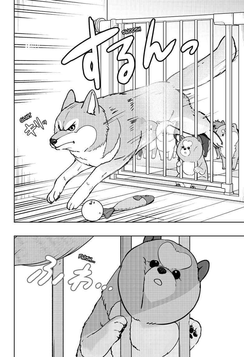 Shiba Inu Rooms - Chapter 32 - 16
