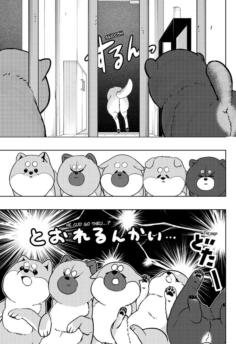 Shiba Inu Rooms - Chapter 32 - 17