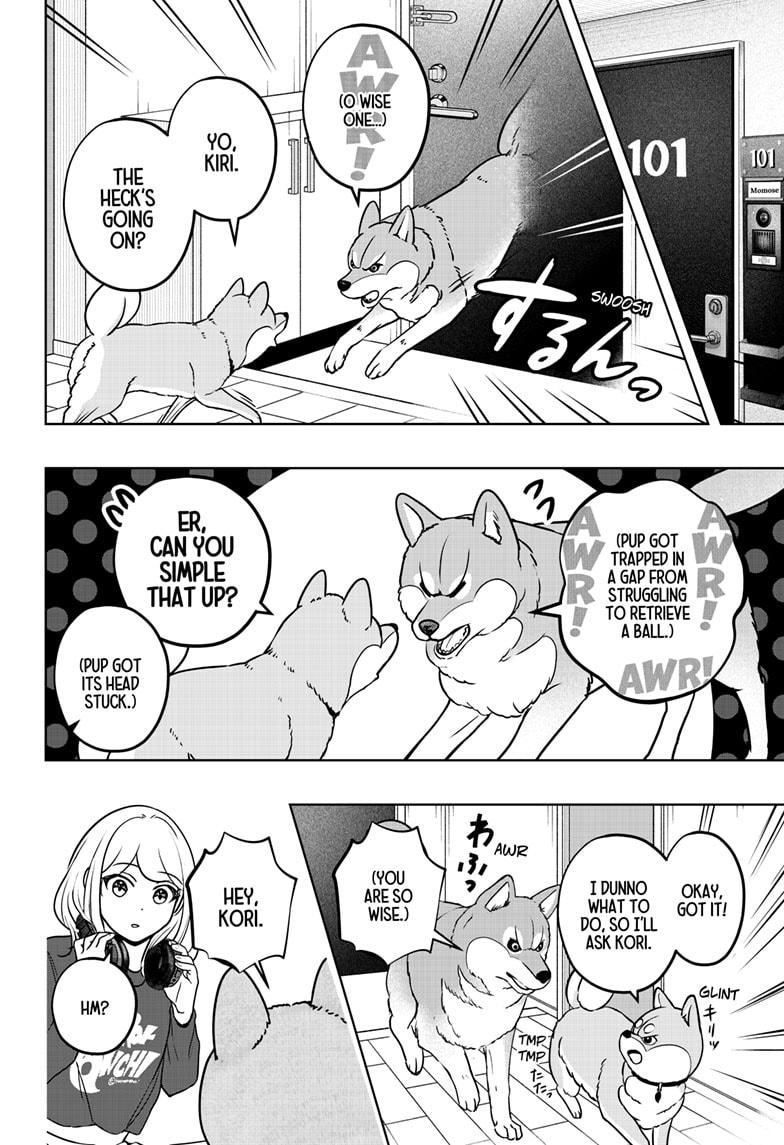 Shiba Inu Rooms - Chapter 32 - 18