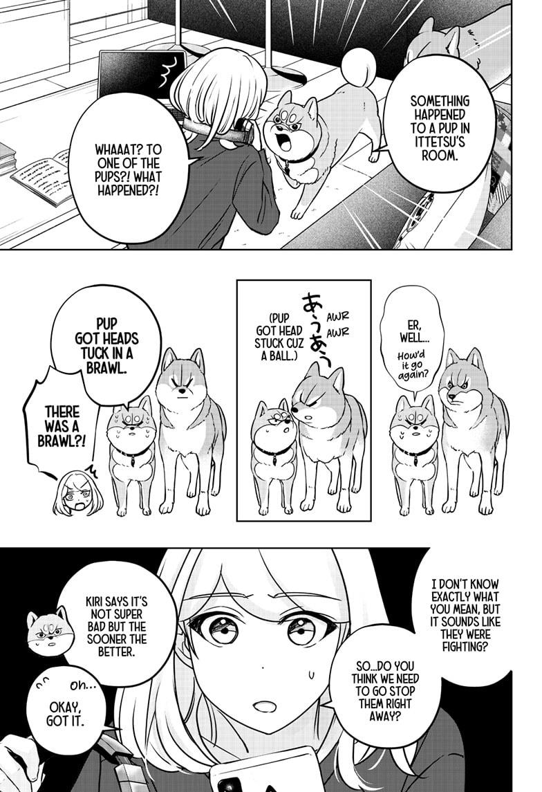 Shiba Inu Rooms - Chapter 32 - 19