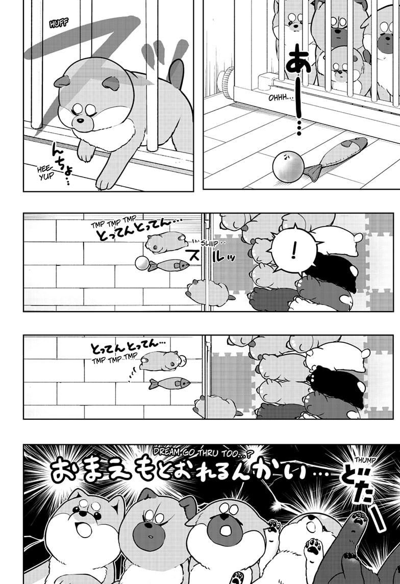 Shiba Inu Rooms - Chapter 32 - 22