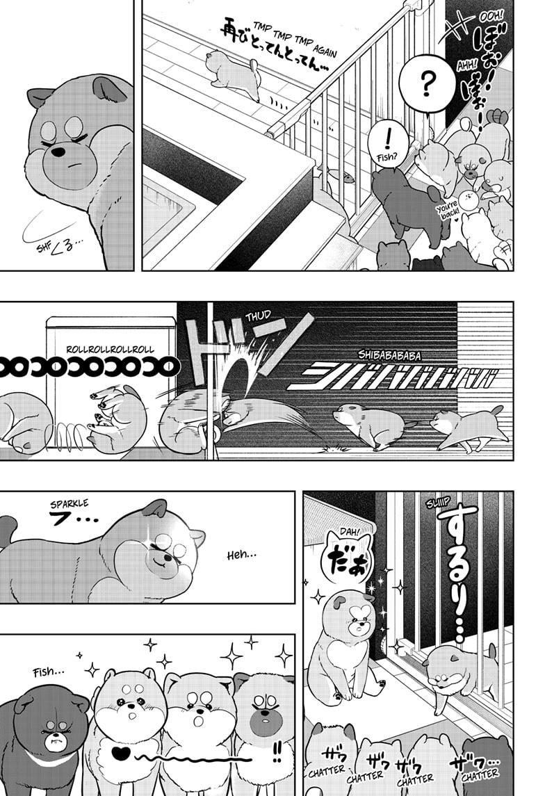 Shiba Inu Rooms - Chapter 32 - 23
