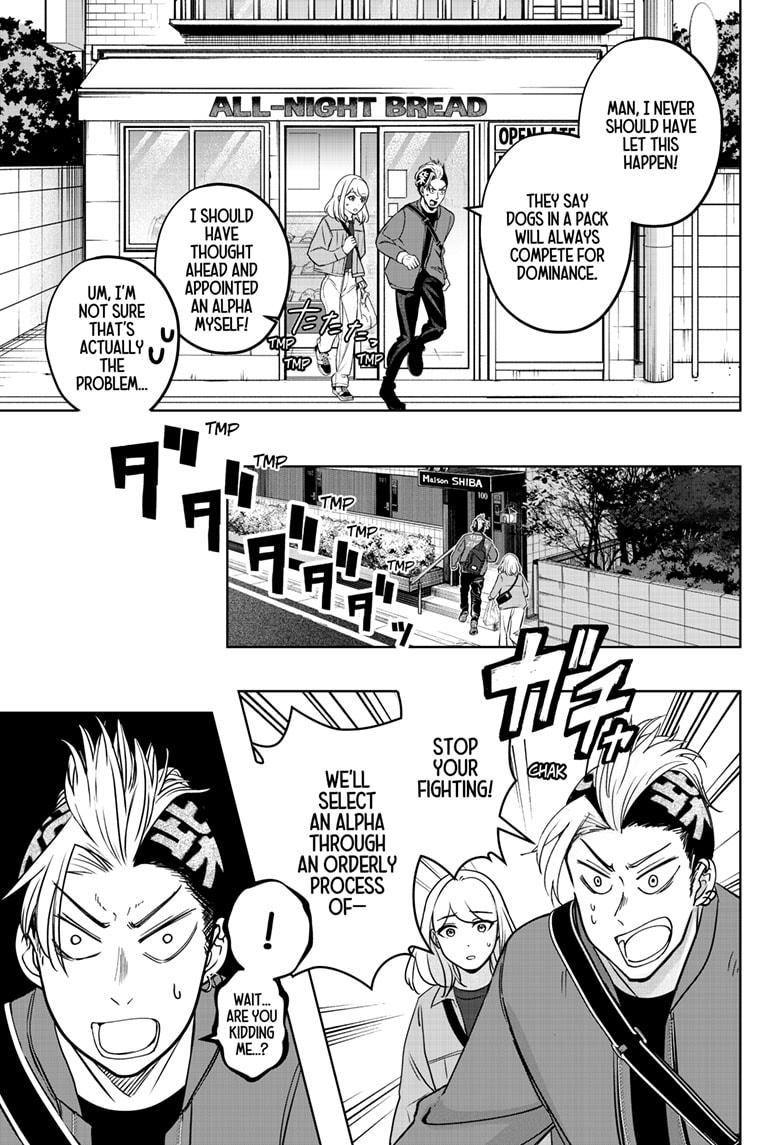 Shiba Inu Rooms - Chapter 32 - 25