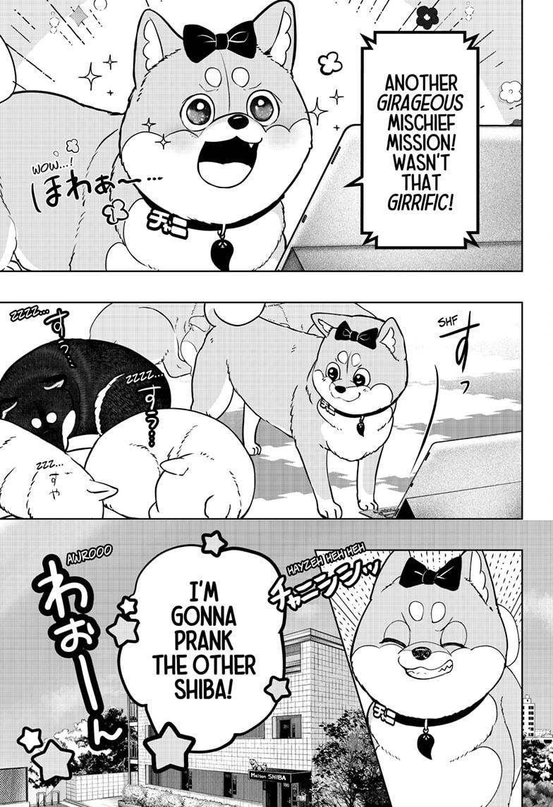 Shiba Inu Rooms - Chapter 33 - 5