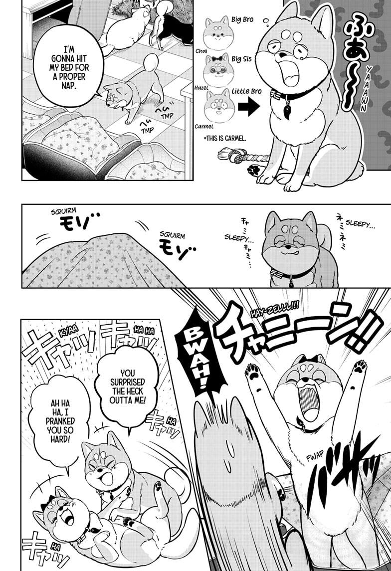 Shiba Inu Rooms - Chapter 33 - 6