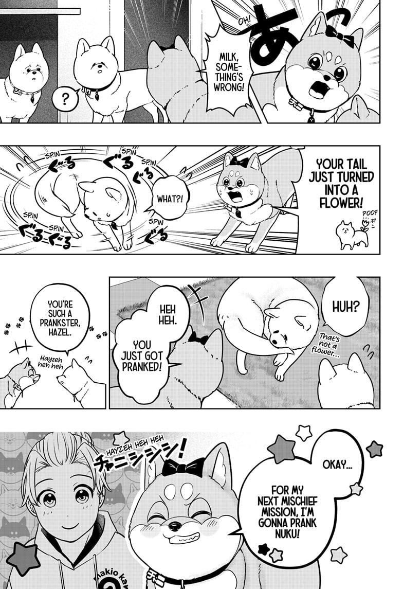 Shiba Inu Rooms - Chapter 33 - 7