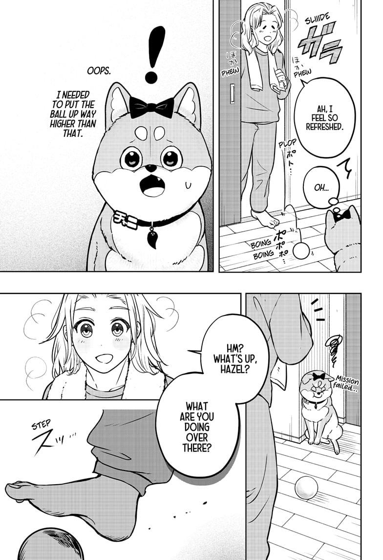 Shiba Inu Rooms - Chapter 33 - 9