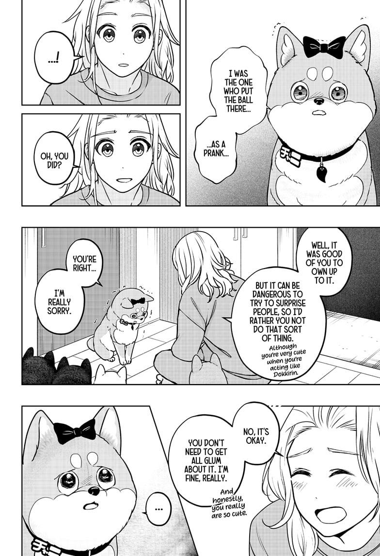 Shiba Inu Rooms - Chapter 33 - 12