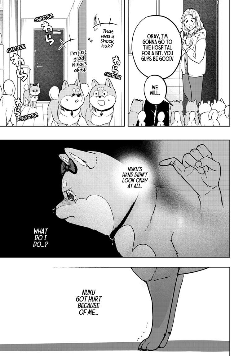 Shiba Inu Rooms - Chapter 33 - 13