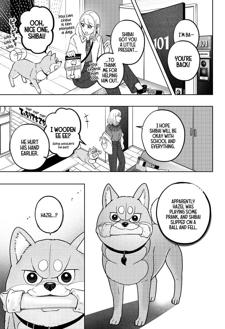 Shiba Inu Rooms - Chapter 33 - 15