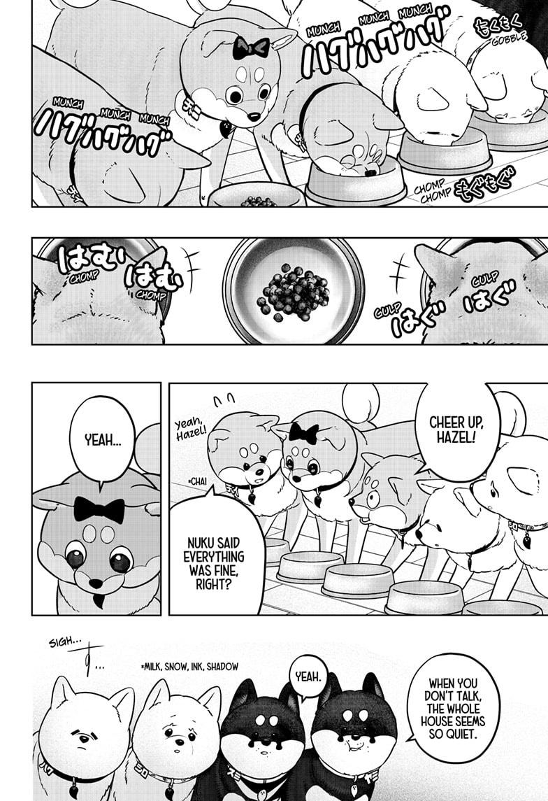 Shiba Inu Rooms - Chapter 33 - 16