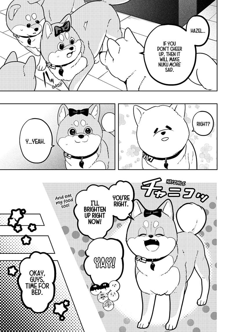Shiba Inu Rooms - Chapter 33 - 17