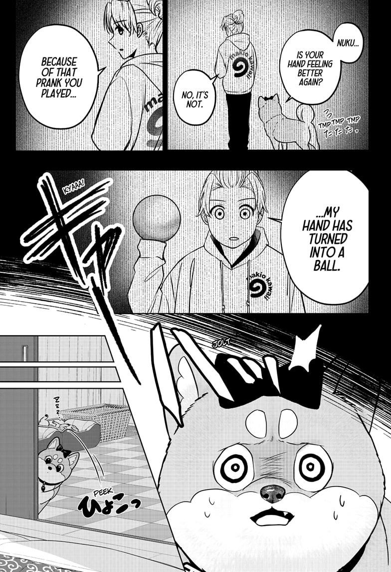 Shiba Inu Rooms - Chapter 33 - 19