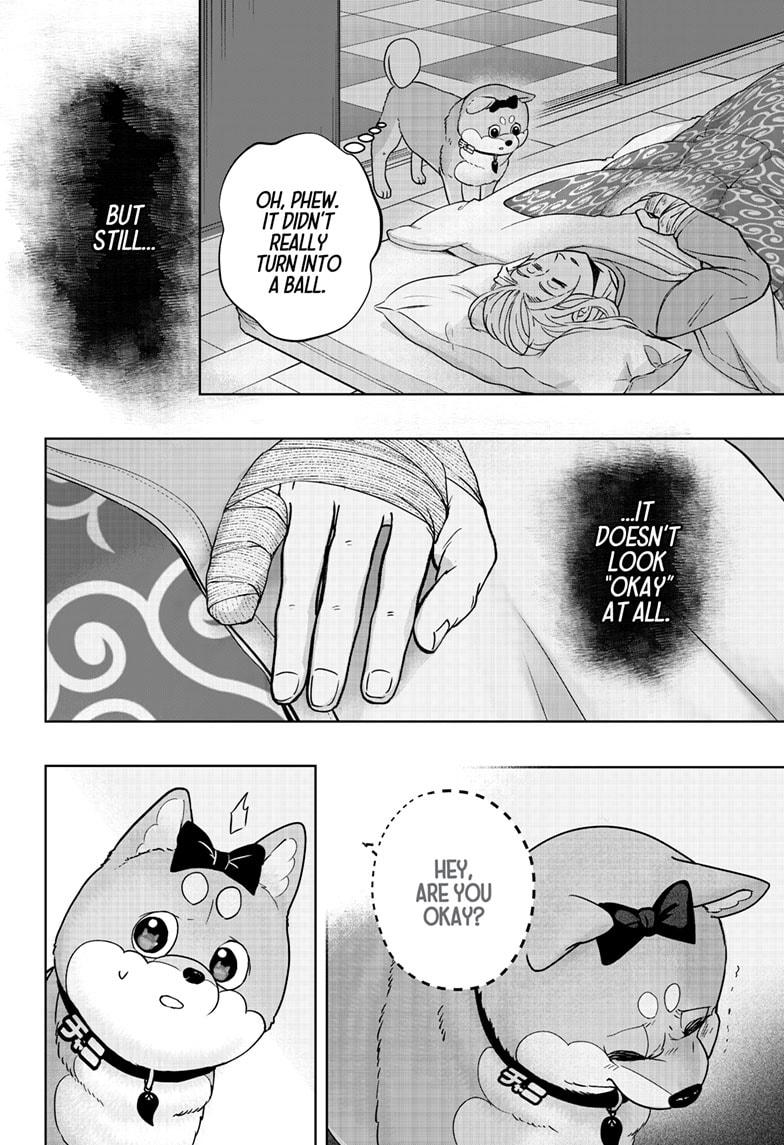 Shiba Inu Rooms - Chapter 33 - 20
