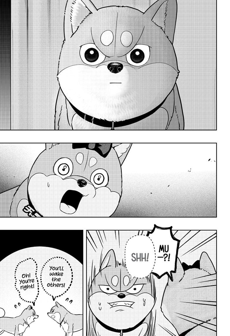 Shiba Inu Rooms - Chapter 33 - 21