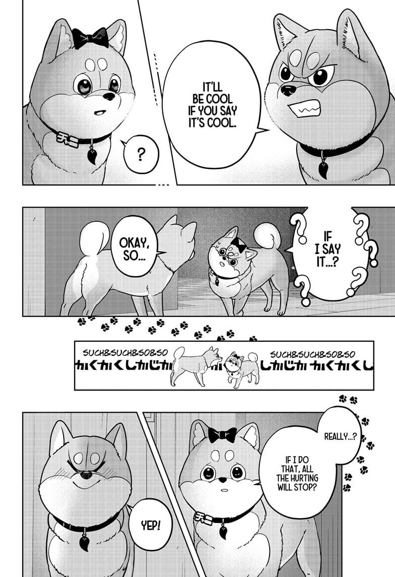 Shiba Inu Rooms - Chapter 33 - 24