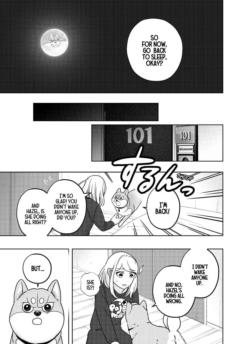 Shiba Inu Rooms - Chapter 33 - 25