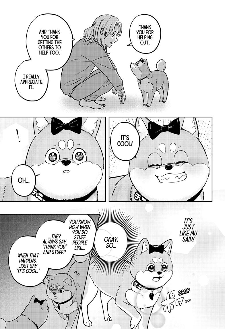 Shiba Inu Rooms - Chapter 33 - 31