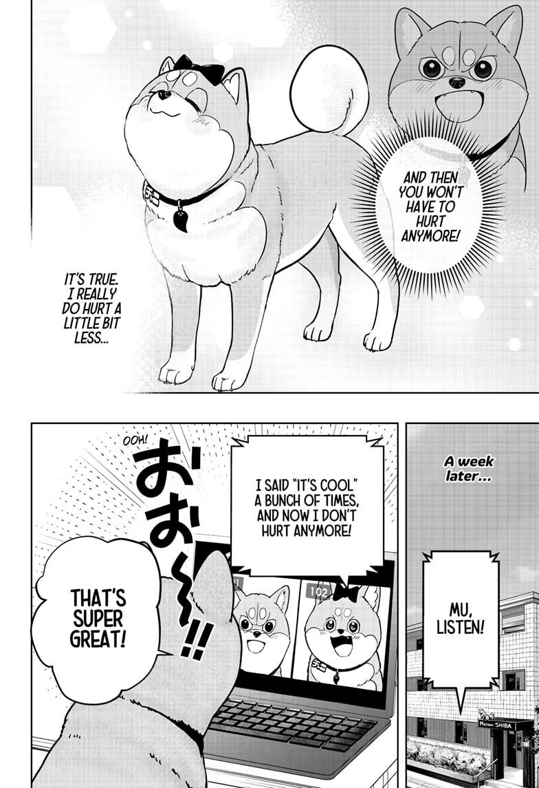 Shiba Inu Rooms - Chapter 33 - 32