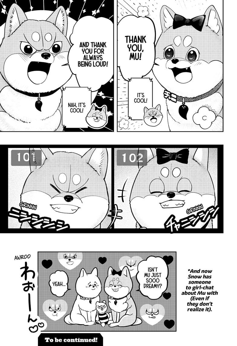 Shiba Inu Rooms - Chapter 33 - 33