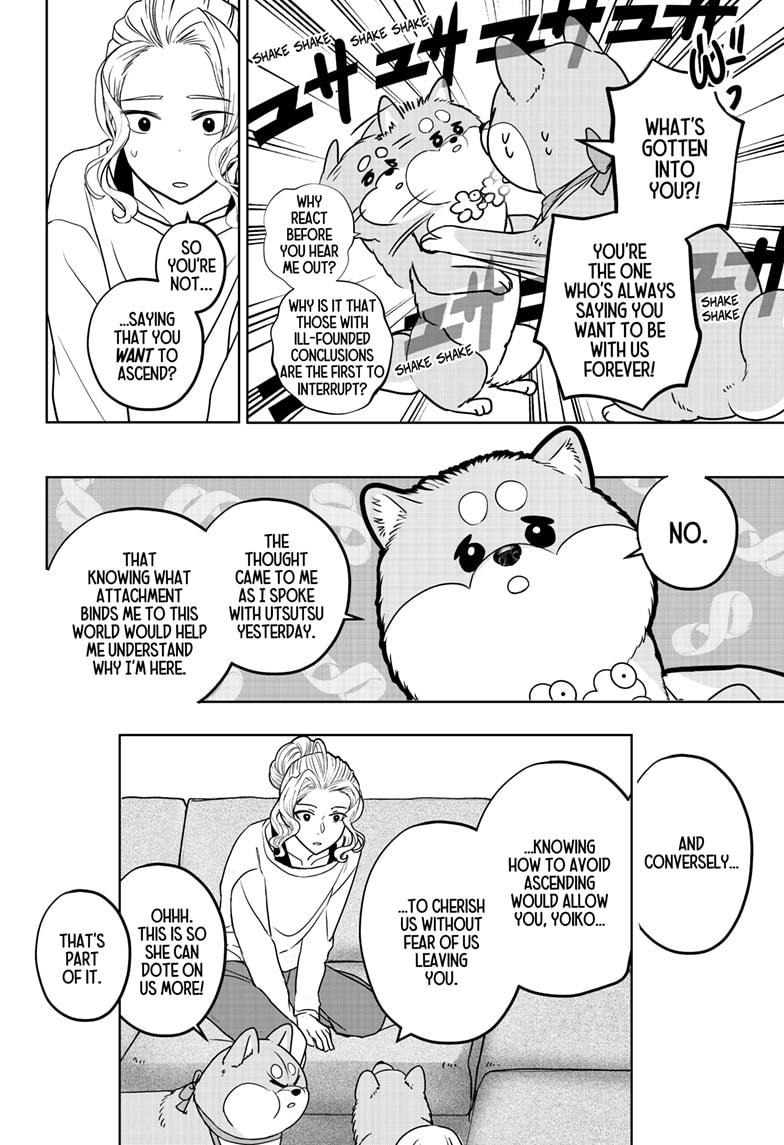 Shiba Inu Rooms - Chapter 34 - 14