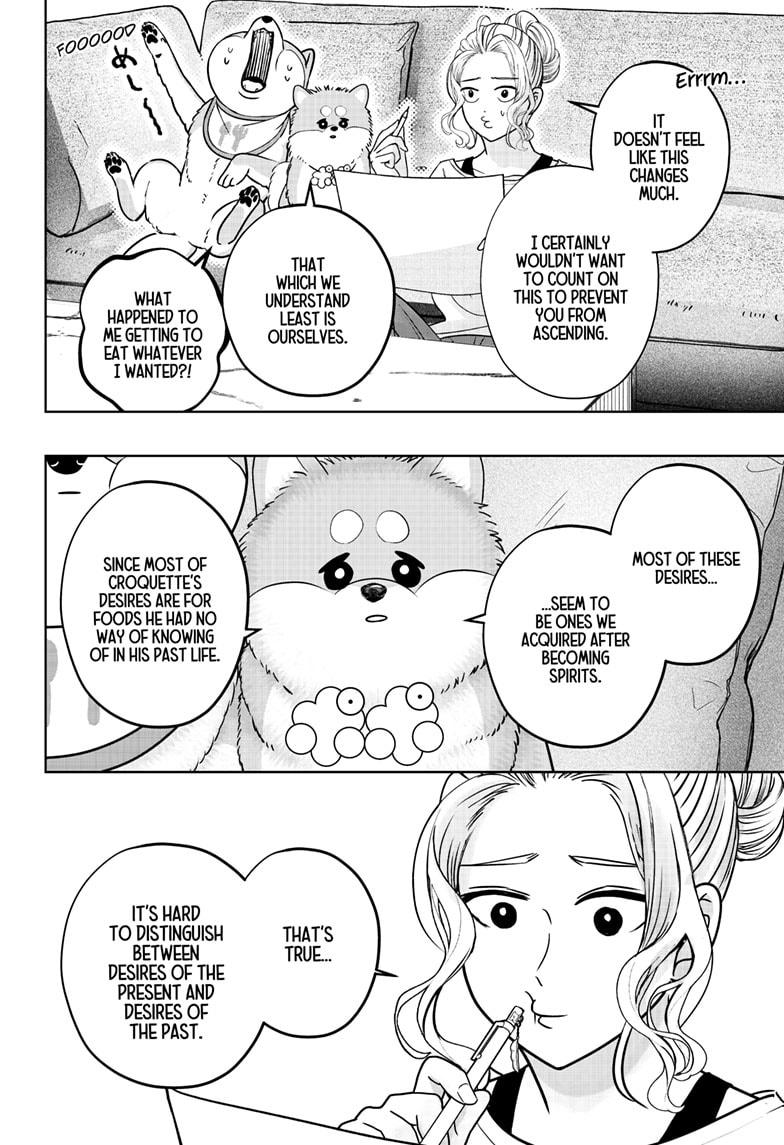 Shiba Inu Rooms - Chapter 34 - 20