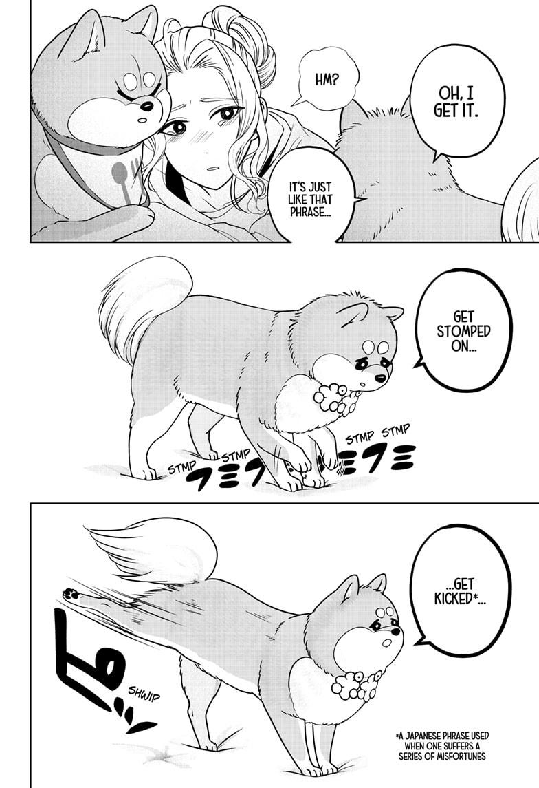 Shiba Inu Rooms - Chapter 34 - 26