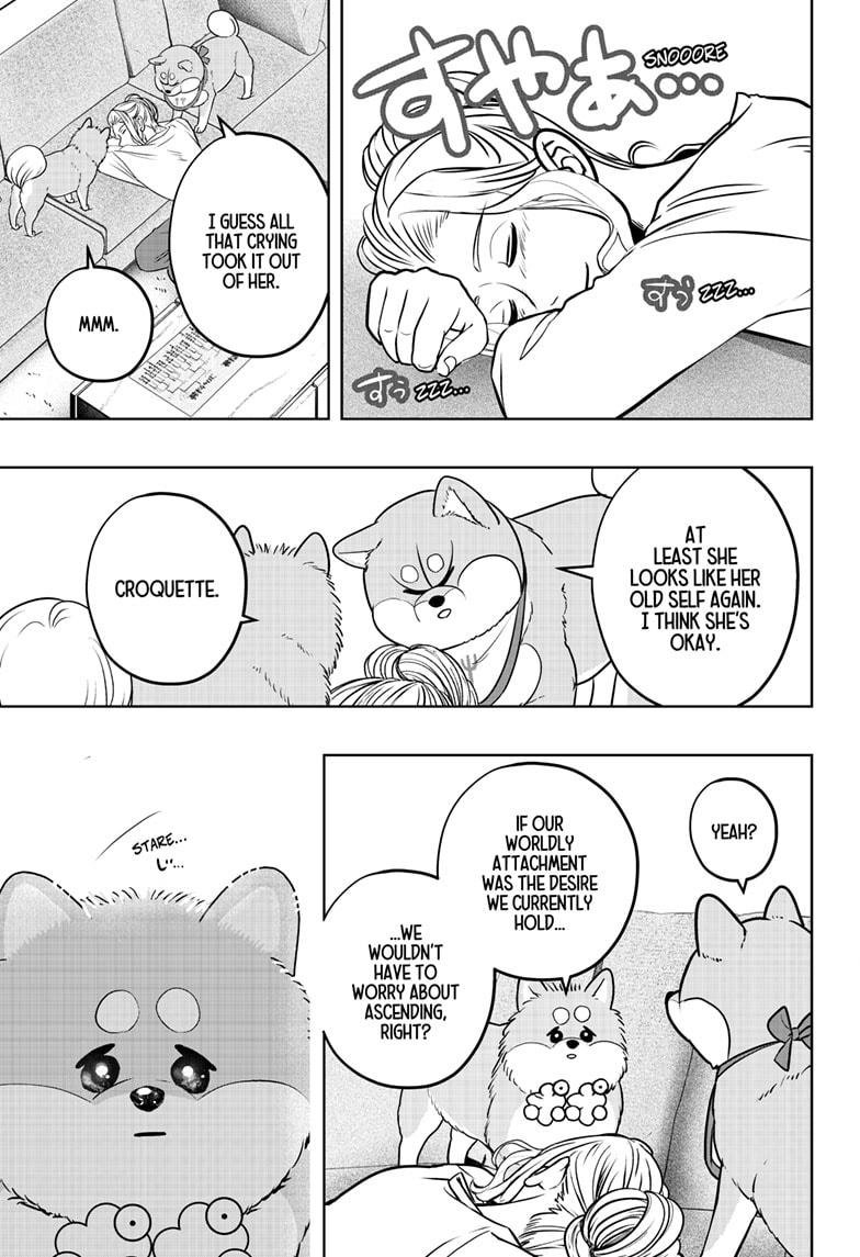 Shiba Inu Rooms - Chapter 34 - 29