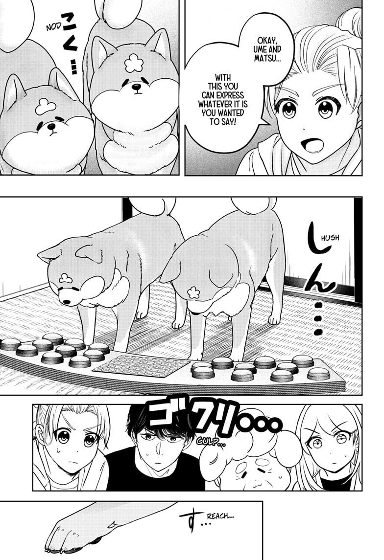 Shiba Inu Rooms - Chapter 35 - 11