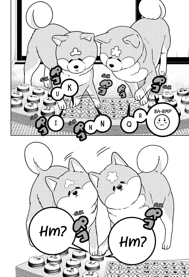 Shiba Inu Rooms - Chapter 35 - 12