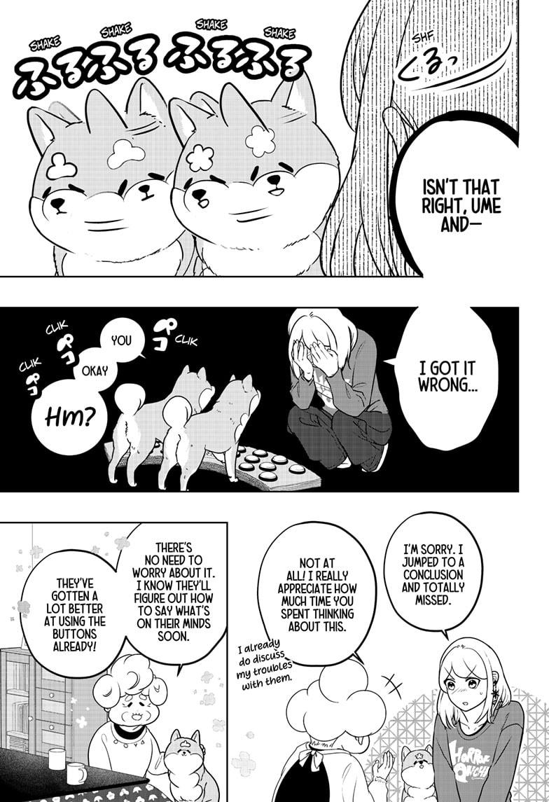 Shiba Inu Rooms - Chapter 35 - 17