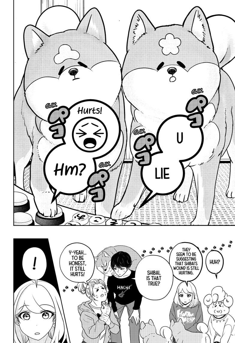 Shiba Inu Rooms - Chapter 35 - 20