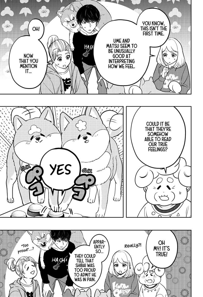 Shiba Inu Rooms - Chapter 35 - 21